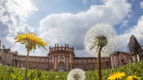 Am Sonntag wird es endlich wieder frühlingshaft