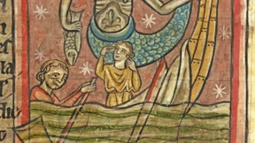 Heringe auf Landwanderung