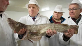 Hoffen auf besseren Fischfang
