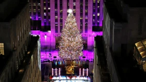 Wer hat den schönsten Weihnachtsbaum?