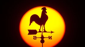 Reumütiger Dieb schickt Wetterhahn nach fast 25 Jahren zurück