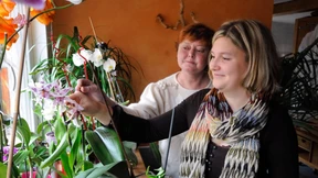 Arrangement in Zeiten des Ausnahmezustandes