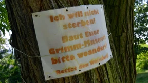 Das Ärschlein, Verbrechen und ein „C“