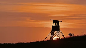 Facettenreich, aber ohne Leitfrage