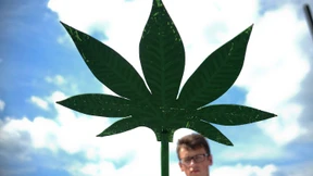 Laborratten der Drogenpolitik