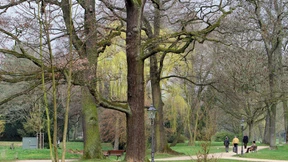 Digitale Zeitreise in die Kurgeschichte