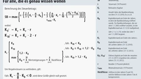 Weißwaschgang für Steuersünder