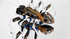 Ein Herz für Tiere und Technik