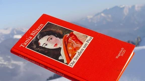 Her mit den leicht bekleideten Romanen