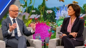 Rotkäppchen, der Wolf und die Bienen