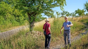 Wo der Große Fuchs flattert