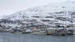 Wie Sanktionen Alaskas Fischern helfen