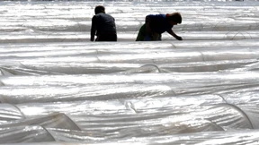 Arbeitskräfte willkommen 