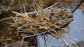 100 Tonnen Mist illegal entsorgt