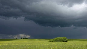 Fünfzig Stufen von Grau