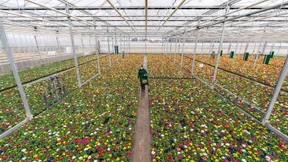 Deutsche Wirtschaft wächst um 0,2 Prozent