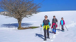 Auf breiten Sohlen durch den Schnee