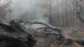 Lang ersehnter Regen bringt etwas Erleichterung