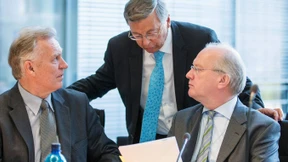 Der Fall Edathy und das Ende der Fahnenstange