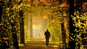 2014 könnte alle Wetterrekorde brechen