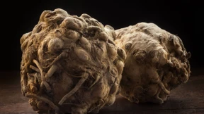 Nun zweigt es immer und schmeckt so fort