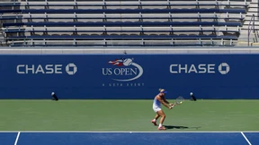 Lisicki im Licht, Federer im Schatten