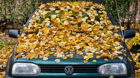 Deutsche halten Volkswagen die Treue