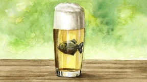 Was gibt es da noch zu regeln?