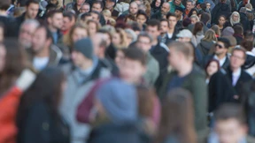 Das Wissen der Masse nutzen