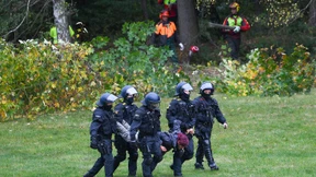 Man sieht sich im Wald