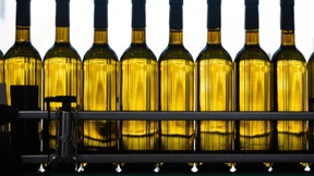 Erzeugung von Wein und Most im vergangenen Jahr um sechs Prozent höher