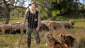 Im Würgegriff der Bürokraten