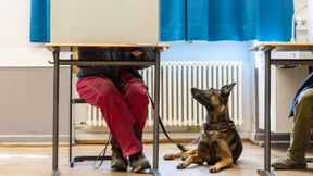 Warum die Grünen die größten Gewinner sind