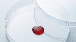 Der Verbraucher ist vor Unfug nicht geschützt