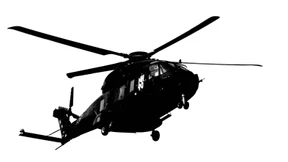 Der flügellahme Seelöwe