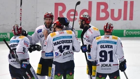 Eisbären als Party-Crasher