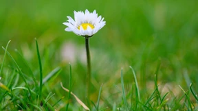 Nachhaltigkeit wird zum Gütesiegel