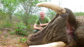 Ein Elefant im Porzellanladen