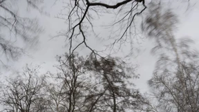 „Ich warne jeden davor, in den nächsten Tagen einen Wald zu betreten“