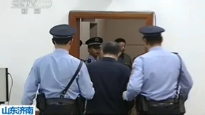 Ein Sittengemälde des Funktionärswesens