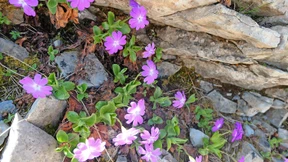 Ihre Figuren stehen oft am Rand