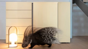 Bestialisch sind diejenigen, die sie so nennen