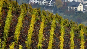 Crowdfunding für Acker und Weinberg