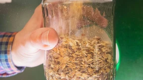 Die Mitarbeiter wollen Mitbestimmung, kein Müsli