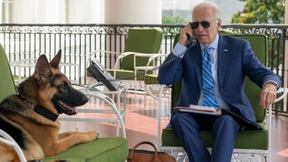 Bidens Schäferhund tyrannisiert Weißes Haus