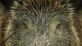 Reichgedeckter Tisch mit bequemen Ohrensesseln