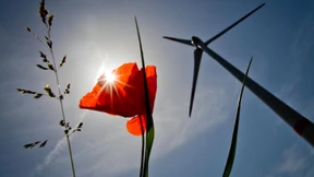 Lorch bleibt bei Windrad-Projekt