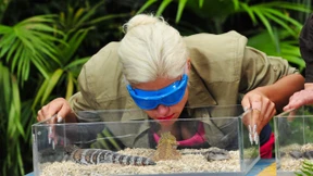 Der Qualm war schuld