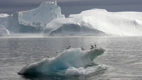 Grönland hat 260 Milliarden Tonnen Eis verloren