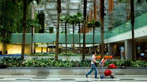 In die Farne schweifen